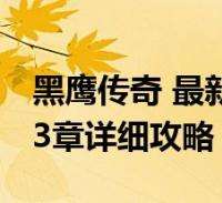美网正赛中国8人入围：张帅王曦雨资格赛突围 女单6人男单2人